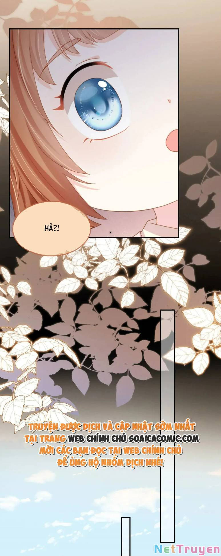 nhặt được bảo bối manh manh chapter 127 24