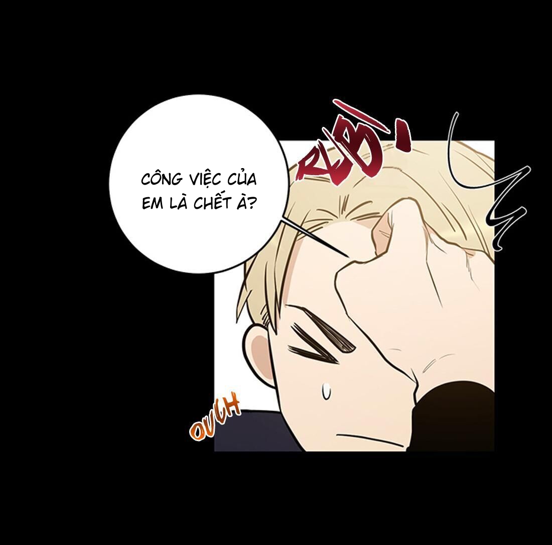 thành phố cạm bẫy chapter 4 11