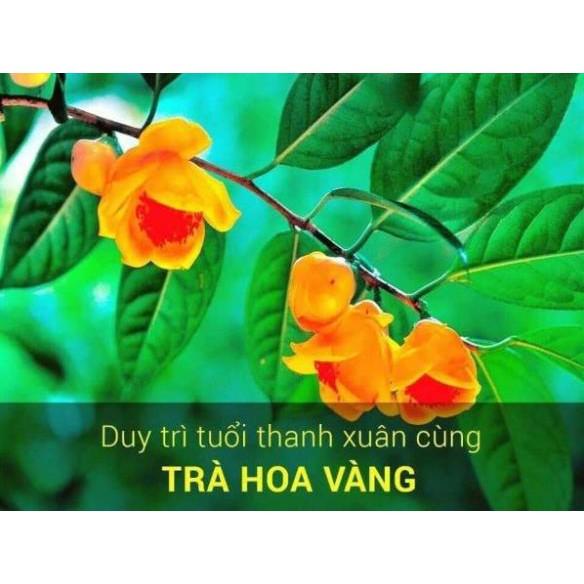 2 cây trà hoa vàng ươm trong bầu đất