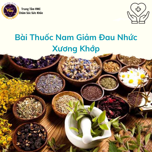 Khóa Học Video Online Một Số Cây Thuốc, Vị Thuốc Nam Giảm Đau Nhức Xương Khớp - Trung Tâm Chăm Sóc Sức Khỏe VMC