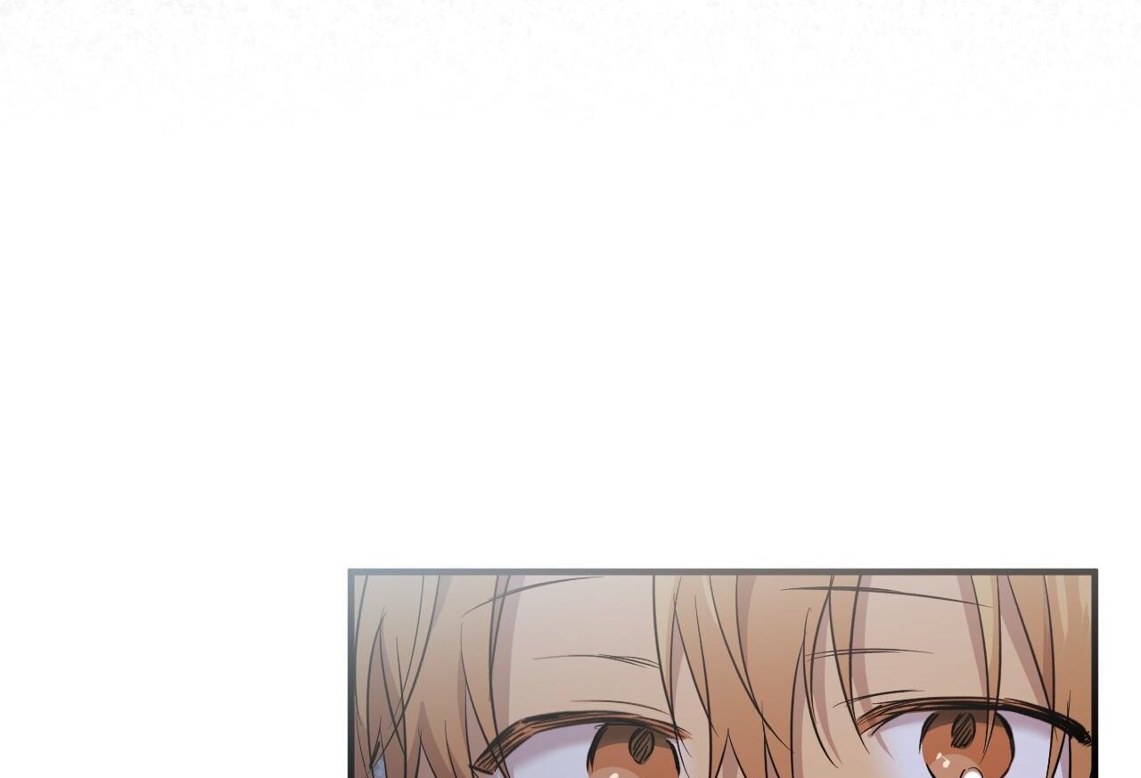 những chú thỏ của hapypy chapter 61 213