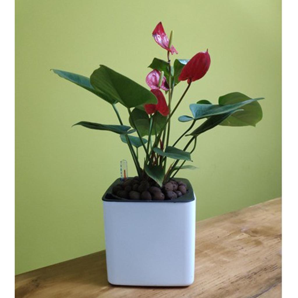 2Pcs Self Watering Pot Planter w/ Water Level Indicator White M