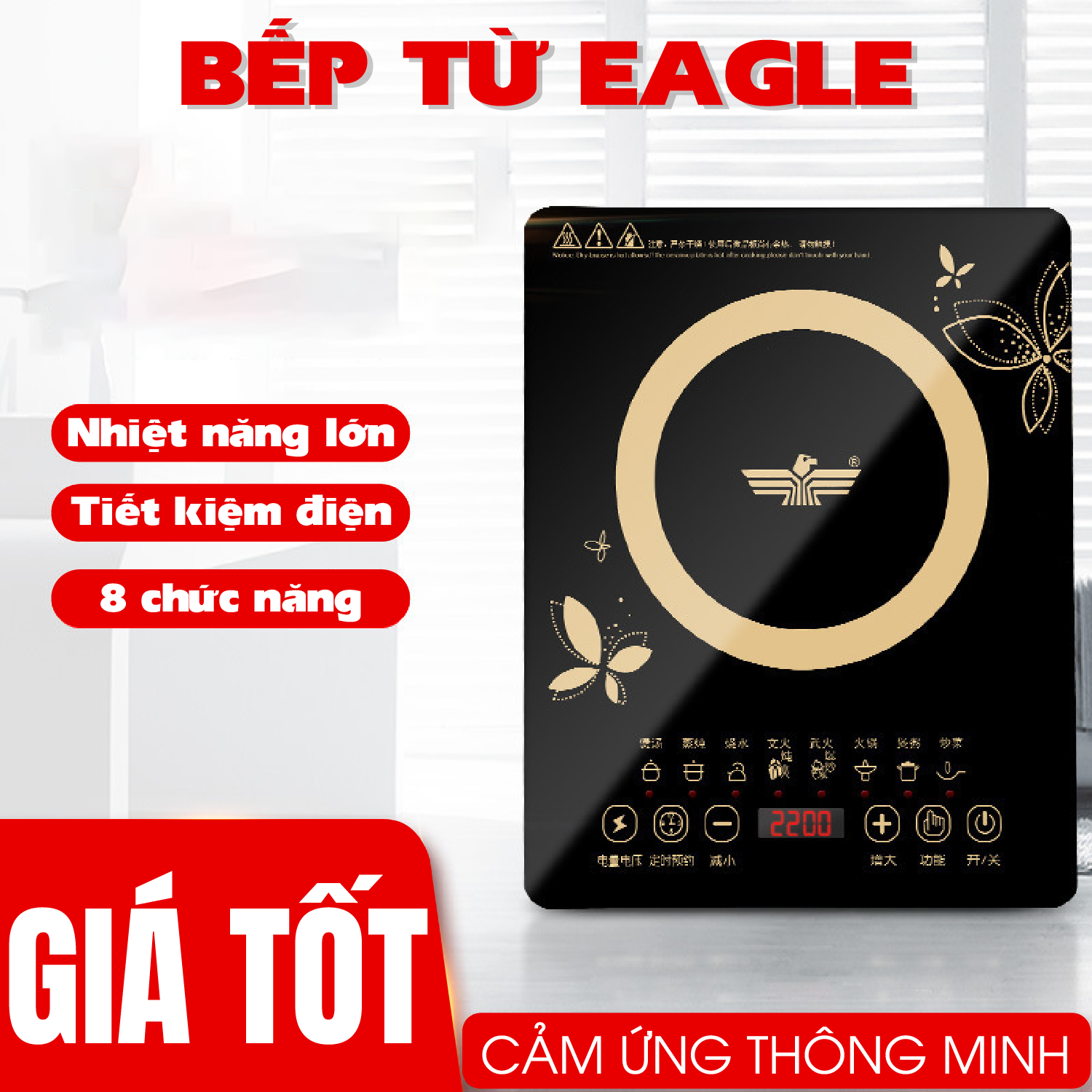 Bếp điện từ cảm ứng