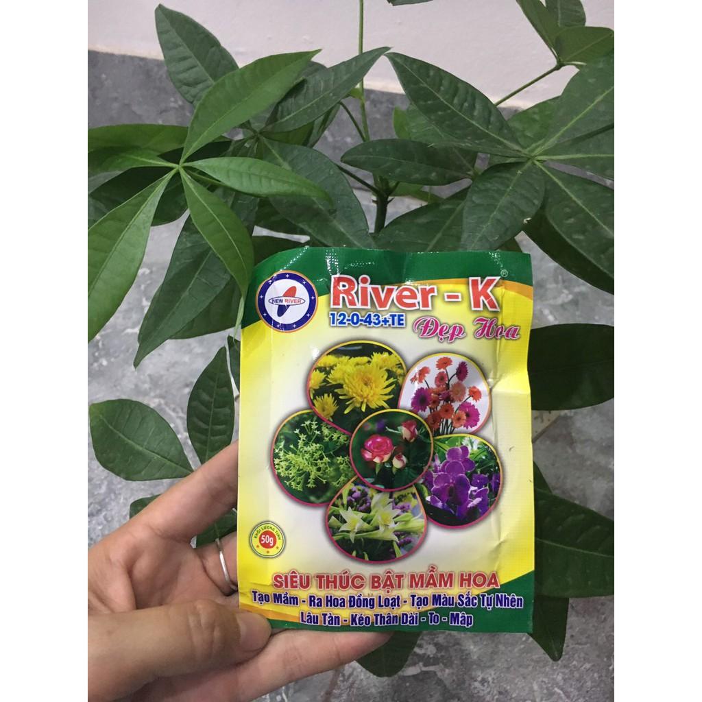 Phân bón River K siêu thúc bật mầm hoa
