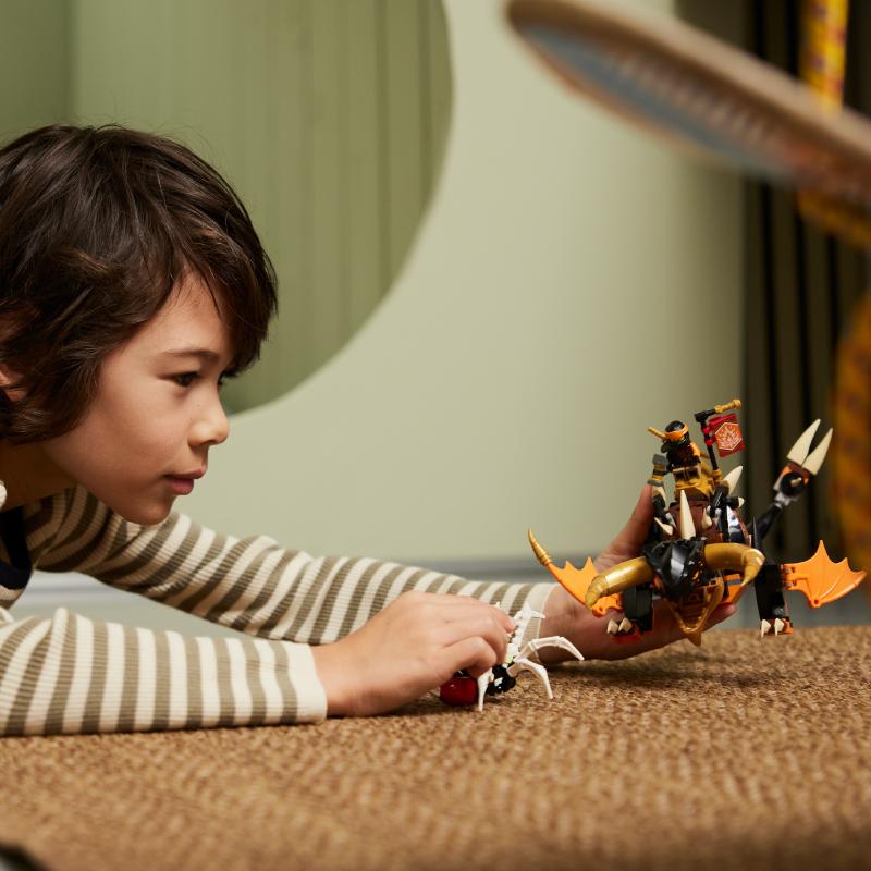 Đồ Chơi Lắp Ráp LEGO Ninjago Rồng Thần Tiến Hóa Của Cole 71782 (285 chi tiết)