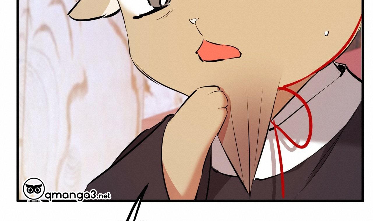 những chú thỏ của hapypy chapter 49 134