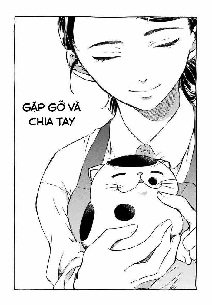 ông chú và con mèo mặt bựa chapter 15.6 1