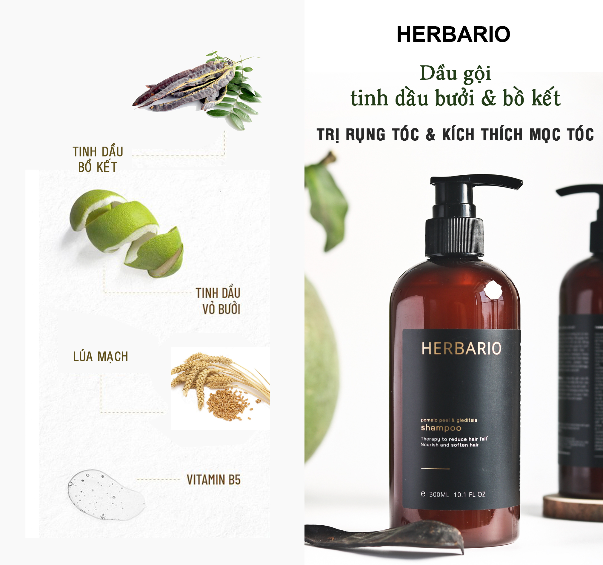Bộ 5 Chăm Sóc Tóc Vỏ bưởi & Bồ kết Herbario: Dầu gội 300ml + Dầu xả 300ml + Xịt dưỡng 100ml + Serum 30ml + Kem ủ tóc 200ml