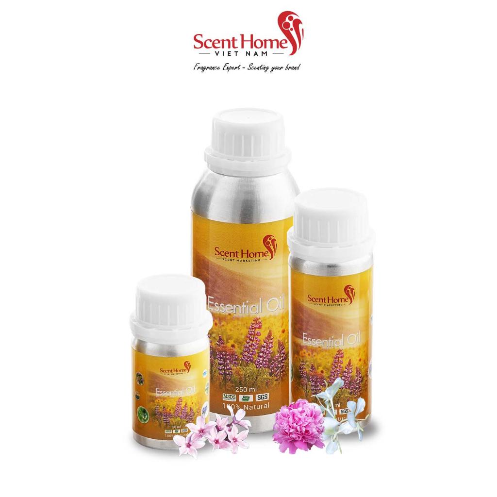 Tinh dầu Scent Homes - mùi hương