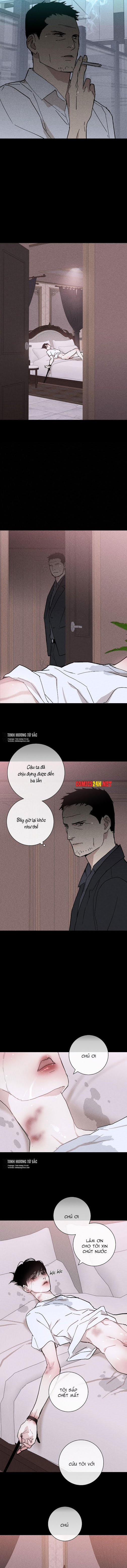 người đàn ông đã kết hôn chapter 12 14