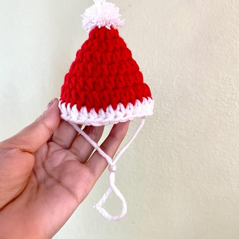 Mũ nón Noel cho guinea pig, bọ ú, mèo con