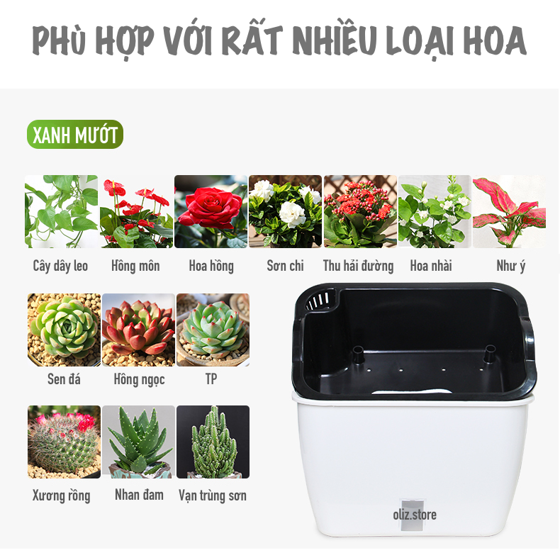 Chậu trồng rau SC0. Chậu trồng rau thông minh tự dưỡng, chậu nhựa trồng cây, chậu trồng hoa