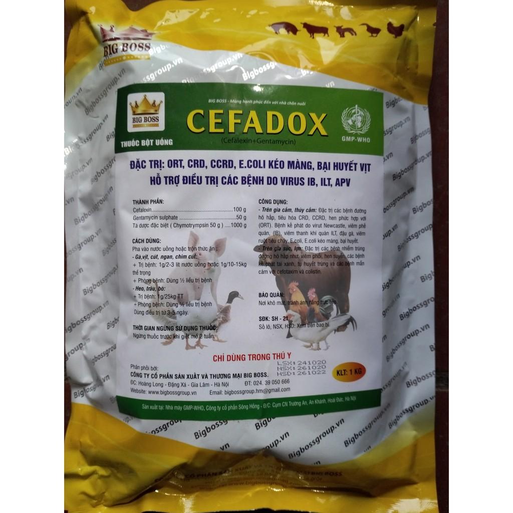 Cefadox_ ecoli kéo màng, bại huyết 200g
