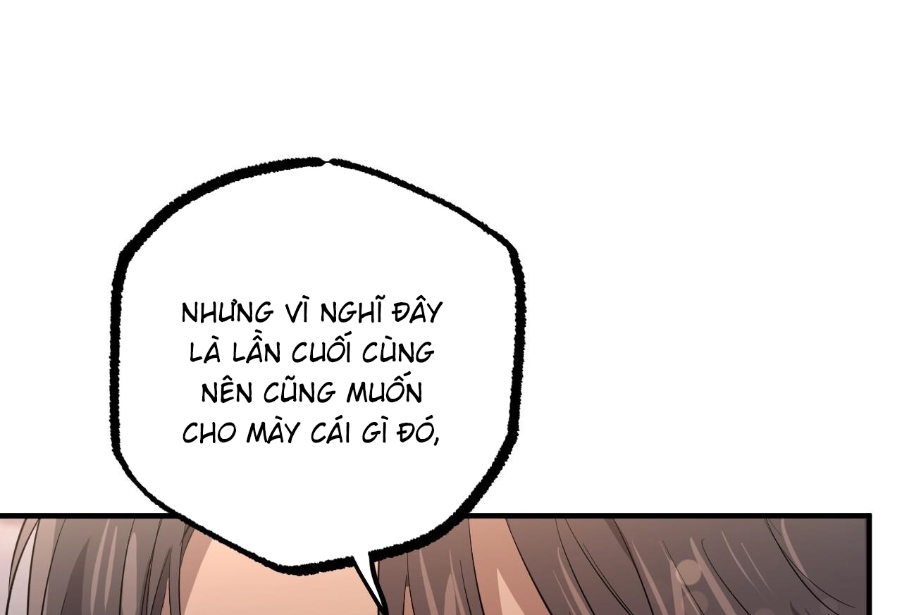những chú thỏ của hapypy chapter 57 22