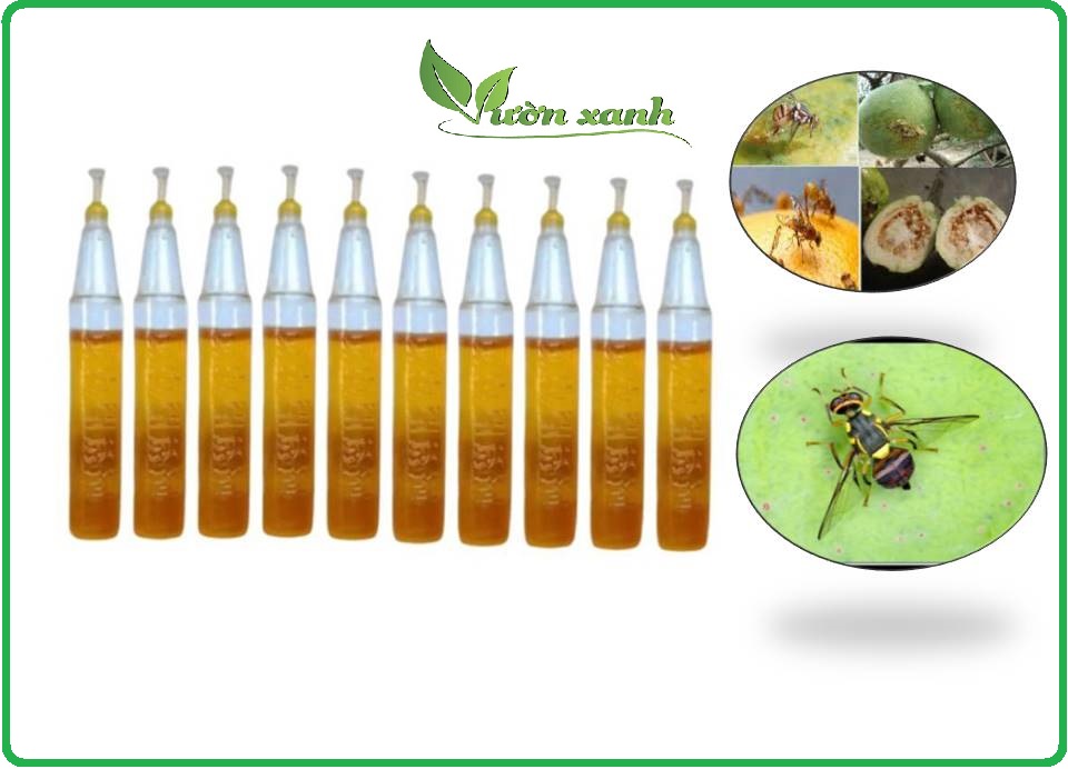 10 ống chất dẫn dụ bẫy ruồi vàng Pheromone lọ 2ml