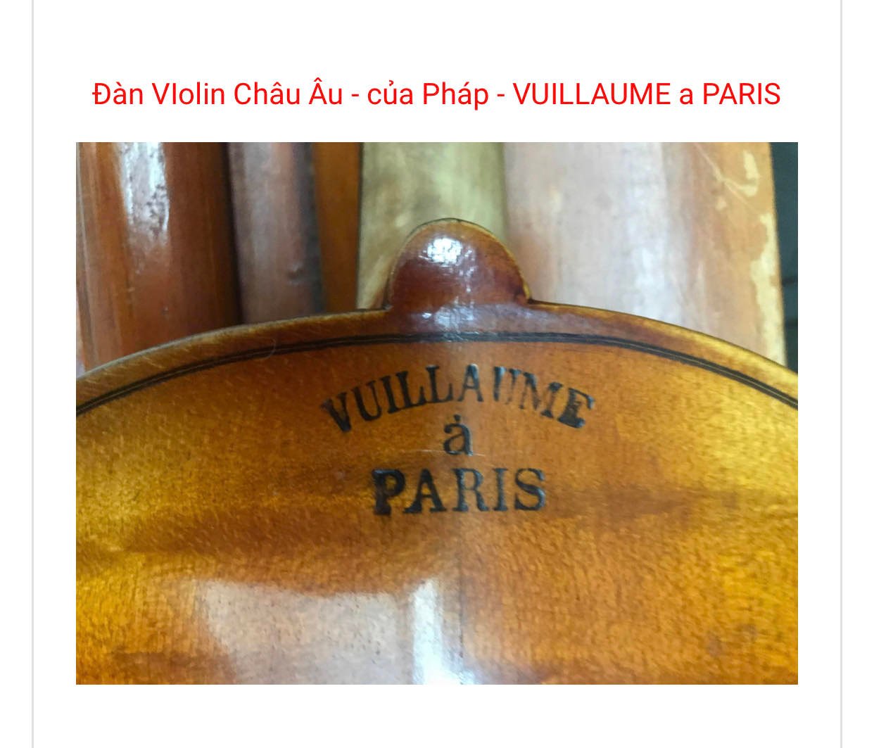 Đàn Violin Châu Âu Size 4/4