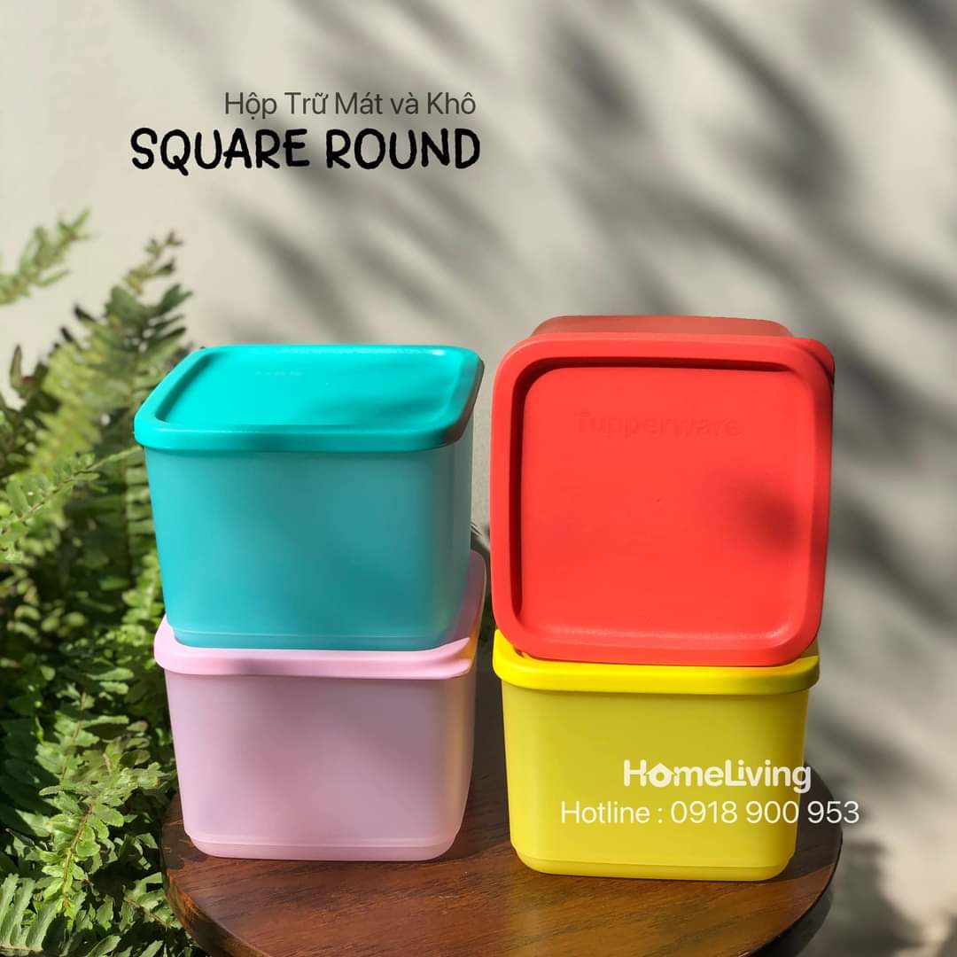 Bộ Trữ Khô & Mát Tupperware Medium Square Round 1L Set 4