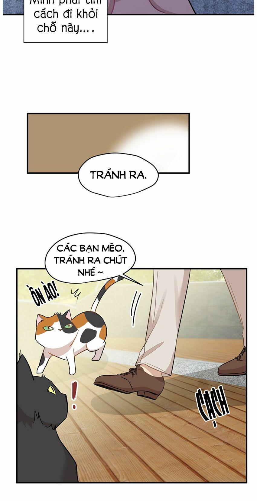 cuộc sống kỳ thú chapter 21 20