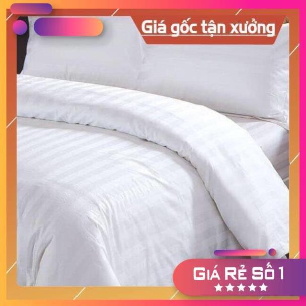Bộ Drap Cotton Trắng sọc 3 phân đủ kích thước 2tấc