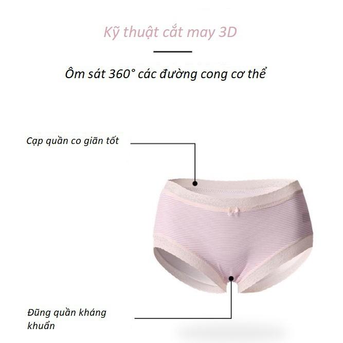 Quần Lót Modal Viền Ren Họa Tiết Phong Cách Nhật Bản P419