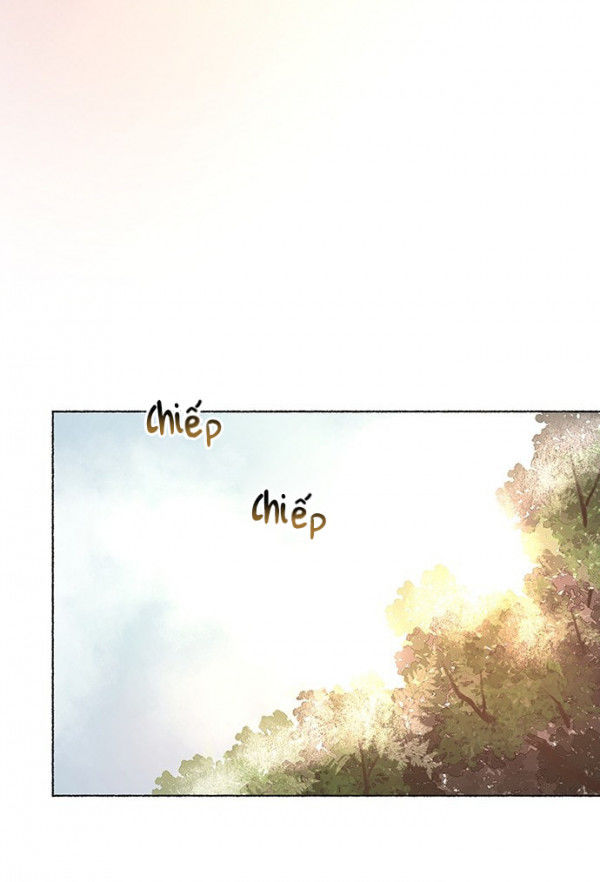 như gió trên cành cây khô chapter 3 46