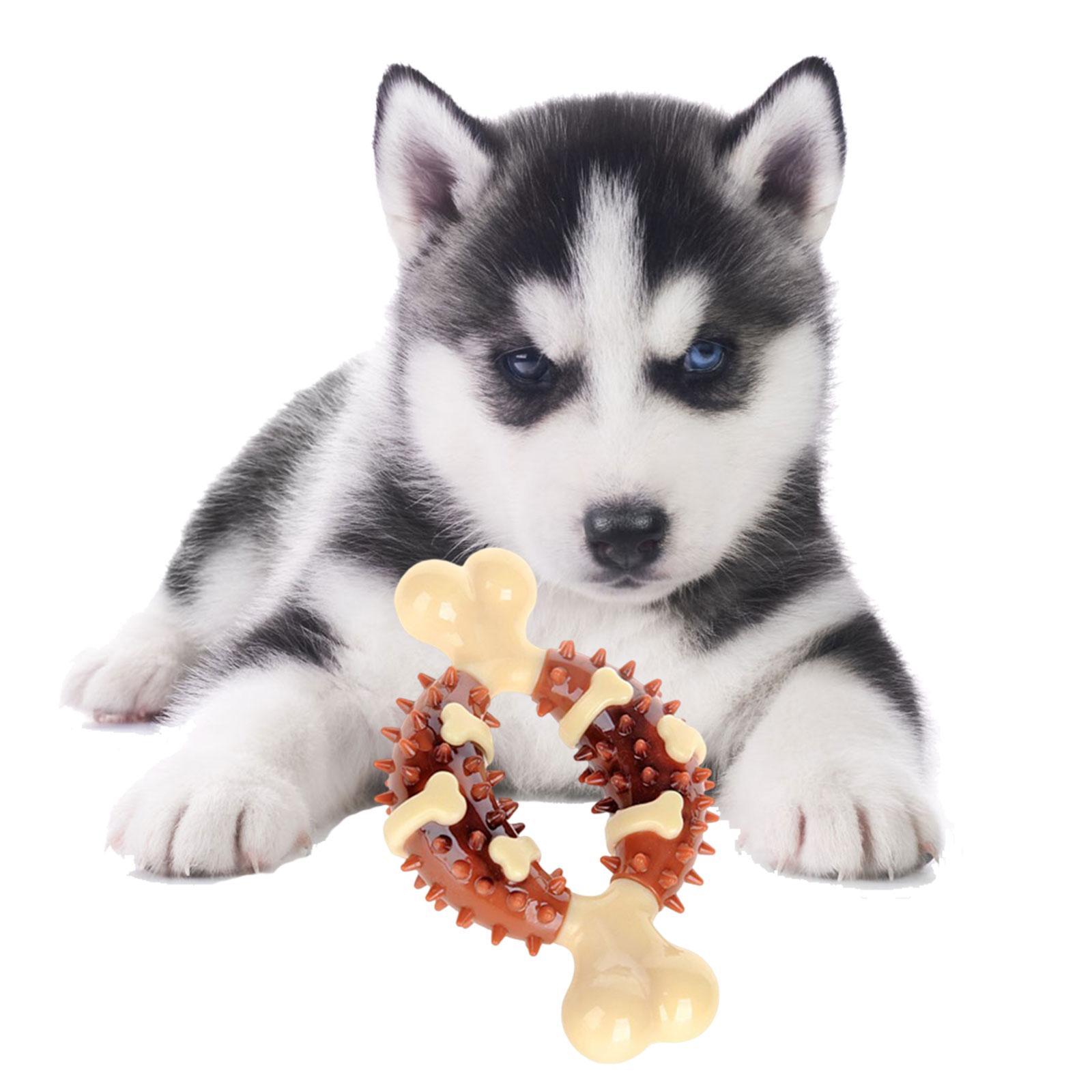 Dog Chew Toy Durable Silicone Portable Tough Chewer for Boredom Relaxing