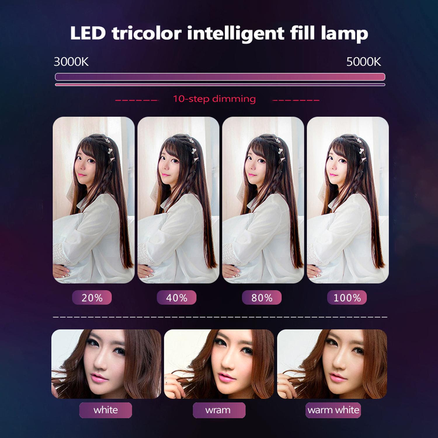 Đèn LED hình tròn 6inch có thể điều chỉnh độ sáng để phát trực tiếp video chụp ảnh tự sướng