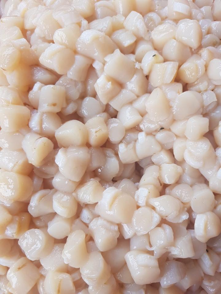 Còi sò điệp tươi - Khay 500g