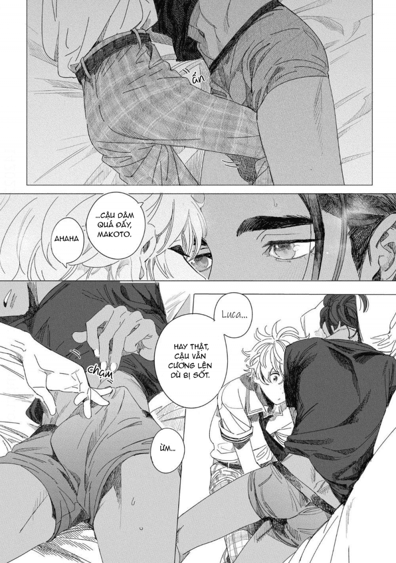 đất nước của những chú sư tử chapter 4 15