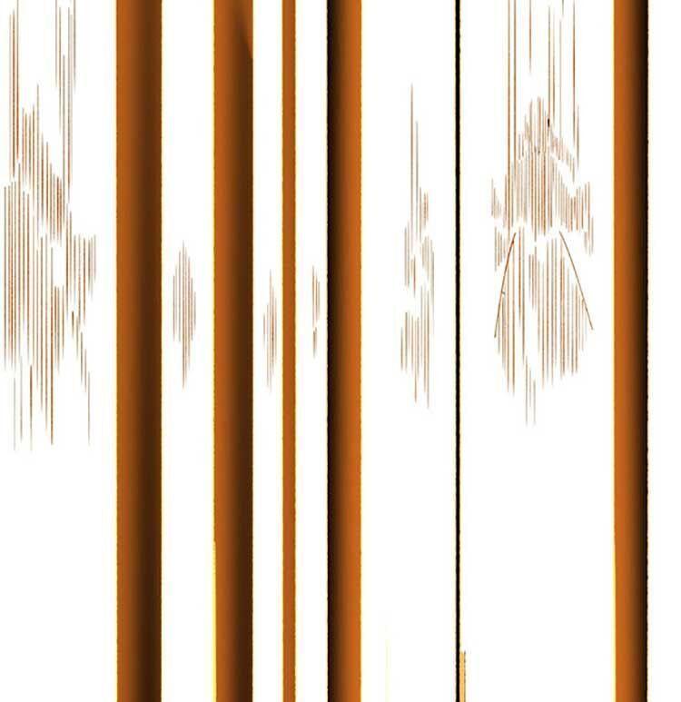 võ đạo độc tôn chapter 583 28