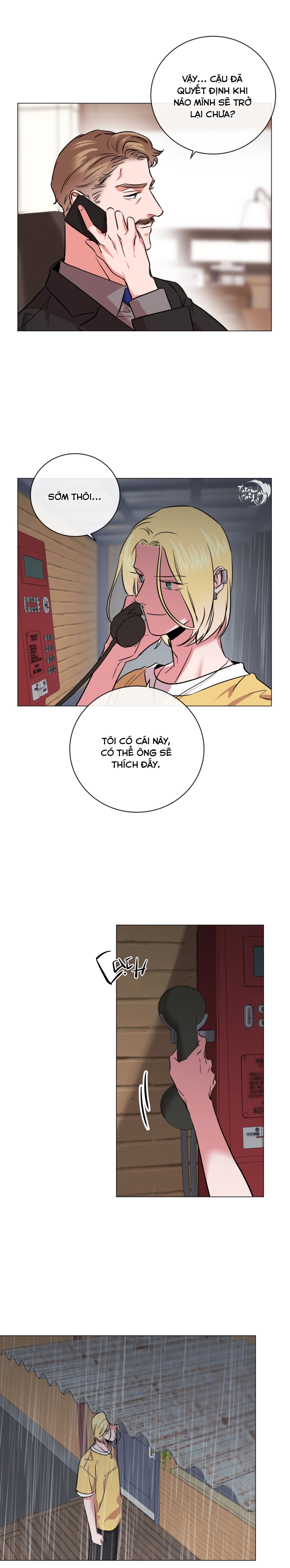 đặc vụ red candy chapter 87 4