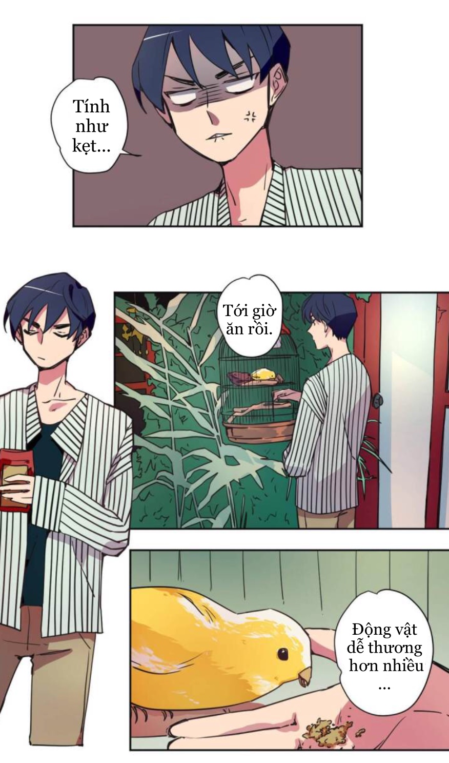 mảnh ghép o bị khuyết chapter 8 14