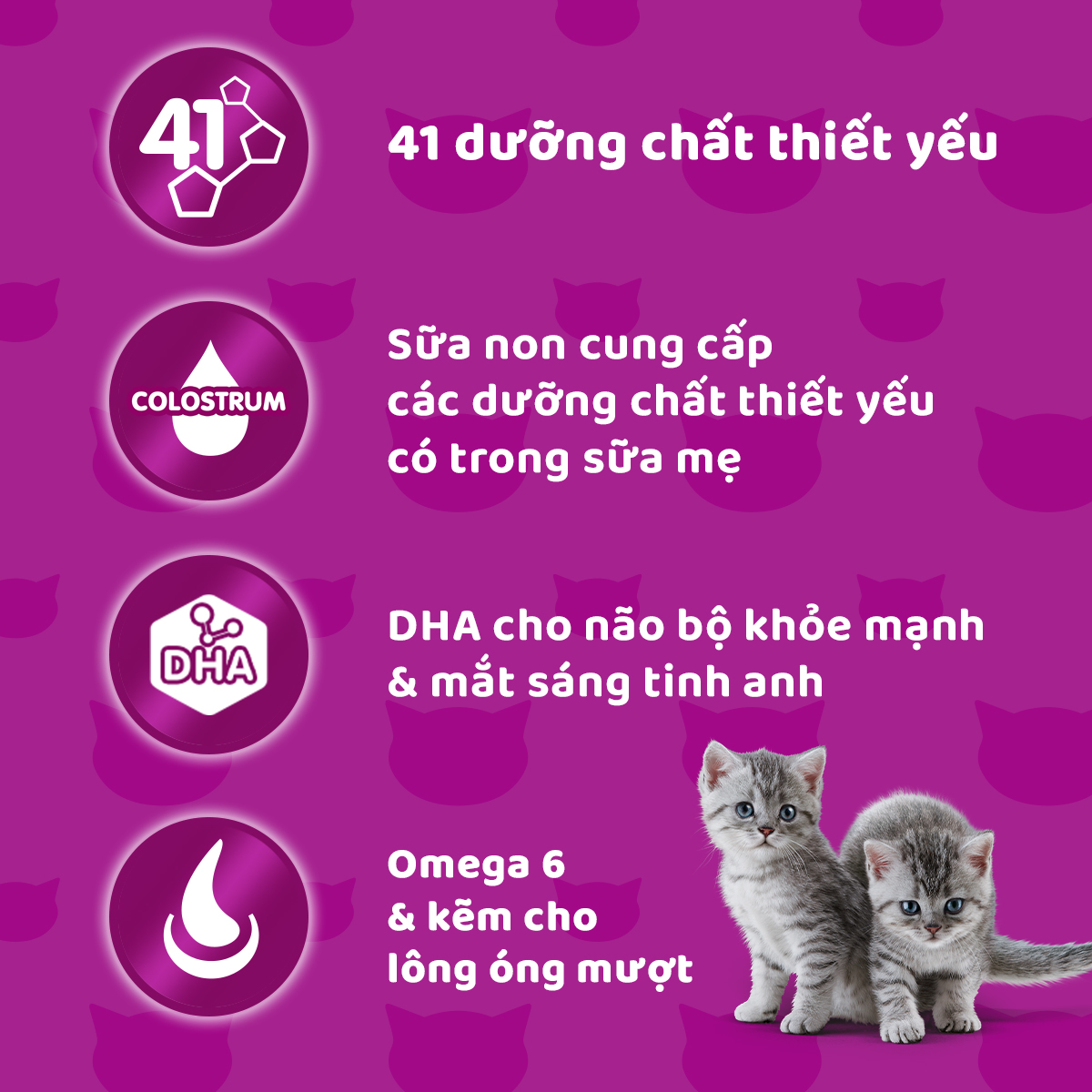 Đồ Ăn Cho Mèo Con Whiskas Vị Cá Biển Và Sữa Dạng Túi 1.1 Kg