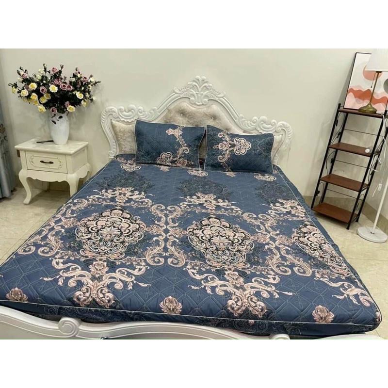 Ga trải giường - Ga chun trải giường trần bông dày dặn chắc chắn chất liệu cotton poly đủ cỡ được chọn mẫu
