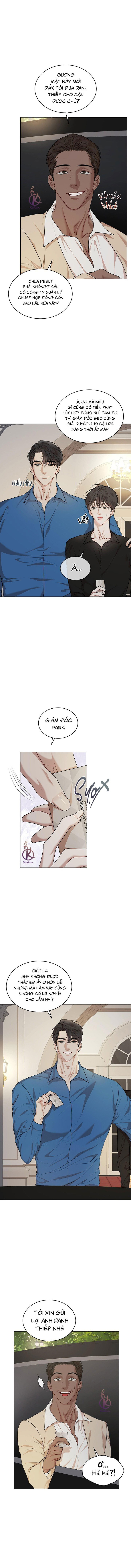 hình thái khởi sinh chapter 82 8