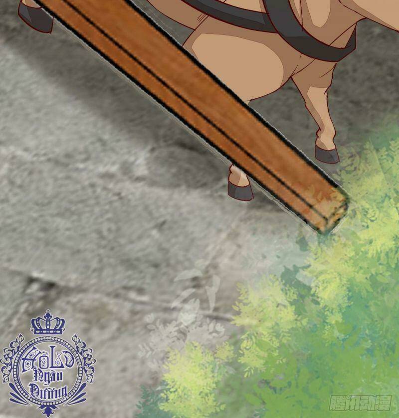 sát thủ vương phi không dễ chọc chapter 43 15