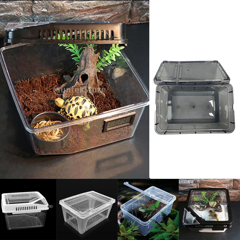 Reptile Breeding Box Spider Feeding Hatching Tank Black