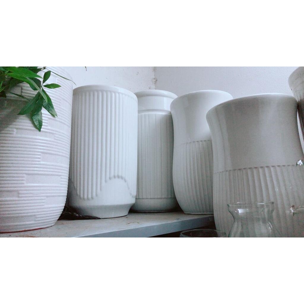 Chậu Trồng Cây
