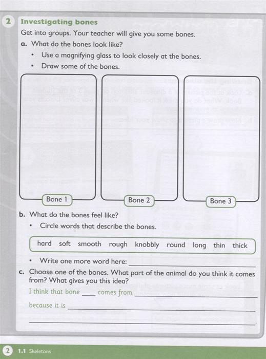 Sách ngoại văn: Max Science Primary Grade 4 Workbook