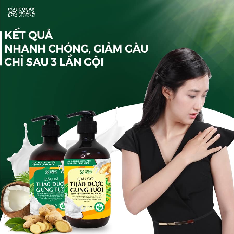 Dầu gội thảo dược gừng dừa Cocayhoala hỗ trợ trị gàu, hết ngứa, dung tích 440g-95% thành phần từ gừng tươi hữu cơ còn nguyên xơ gừng, hỗ trợ trị rụng tóc, kích thích mọc tóc vượt trội, an toàn cho mẹ bầu mẹ sau sinh