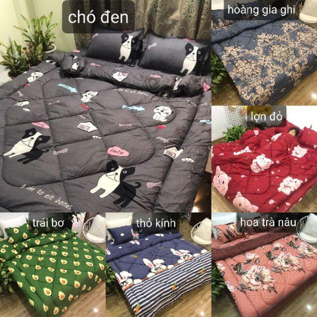 Trọn bộ 5 món ga gối chăn phao poly cotton có ruột bông dày loại 1