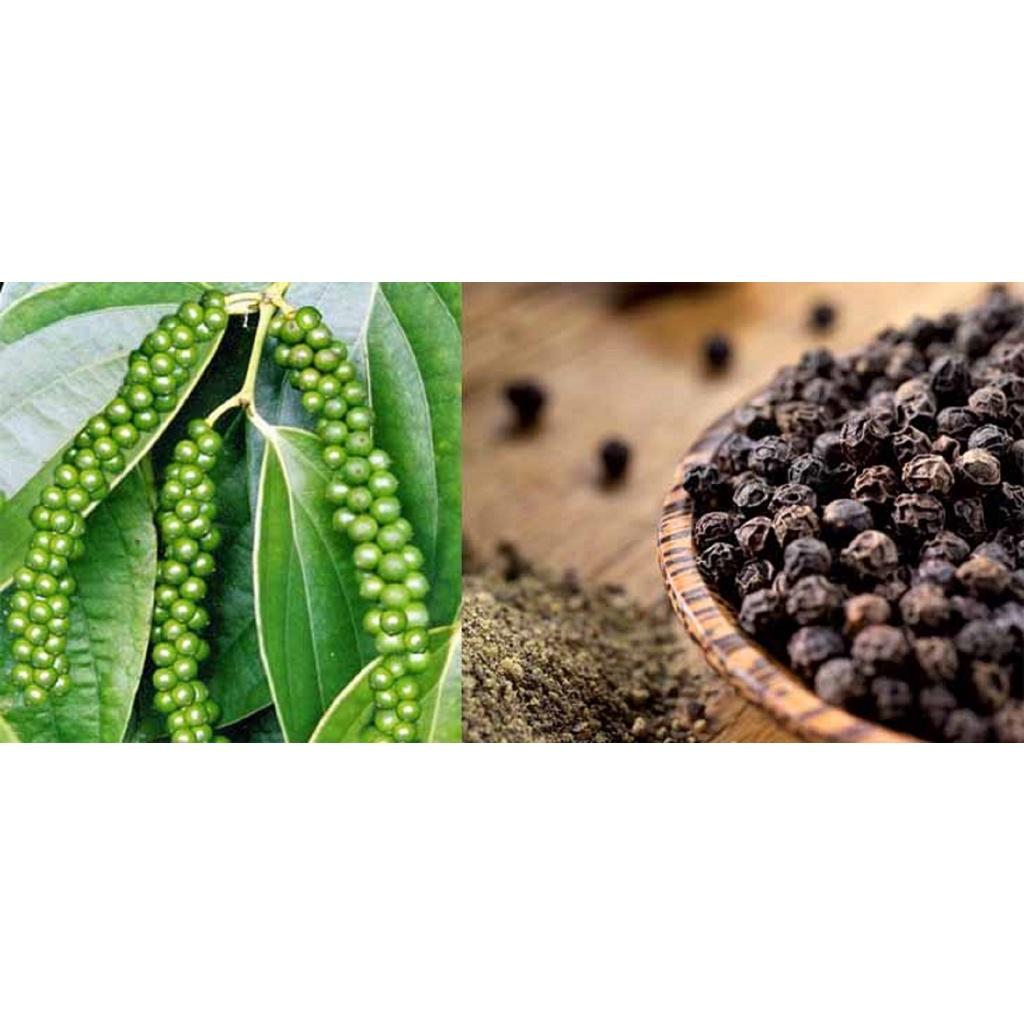 500 GRAM HẠT TIÊU ĐEN SẠCH TUYỂN CHỌN