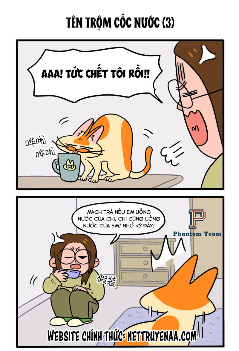 a mãn và mạch trà chapter 26 5