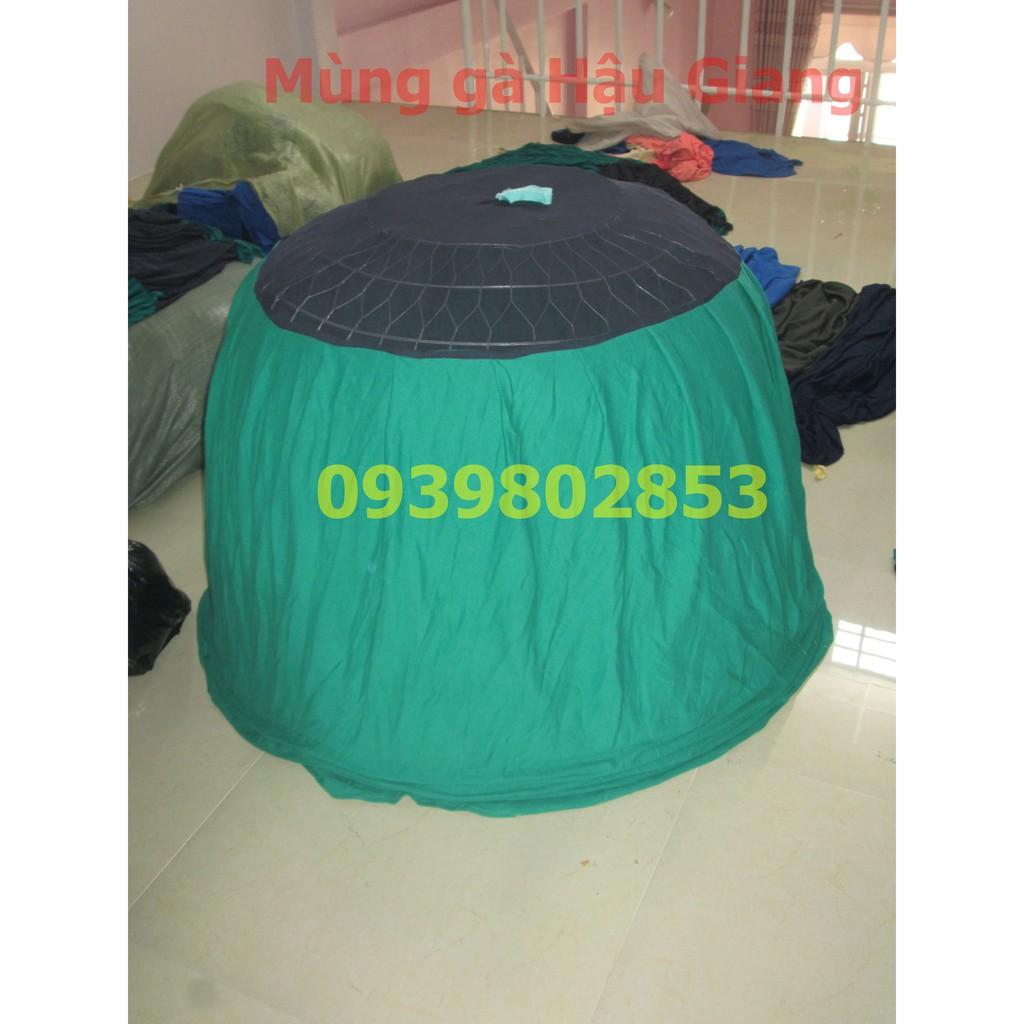 Mùng gà nòi loại tốt