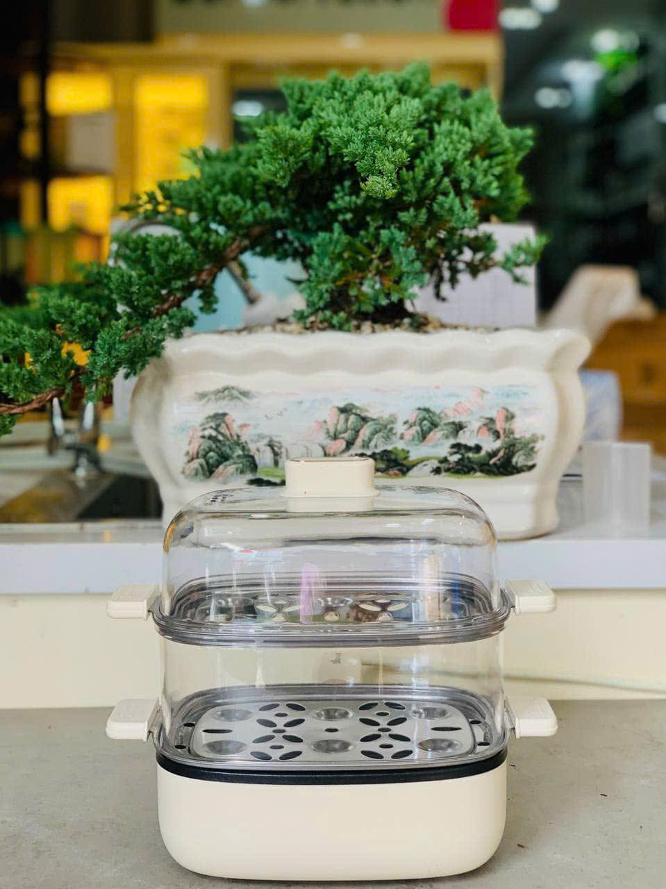 [Hàng chính hãng] Bộ nồi chảo hấp Bear nội địa D12L1