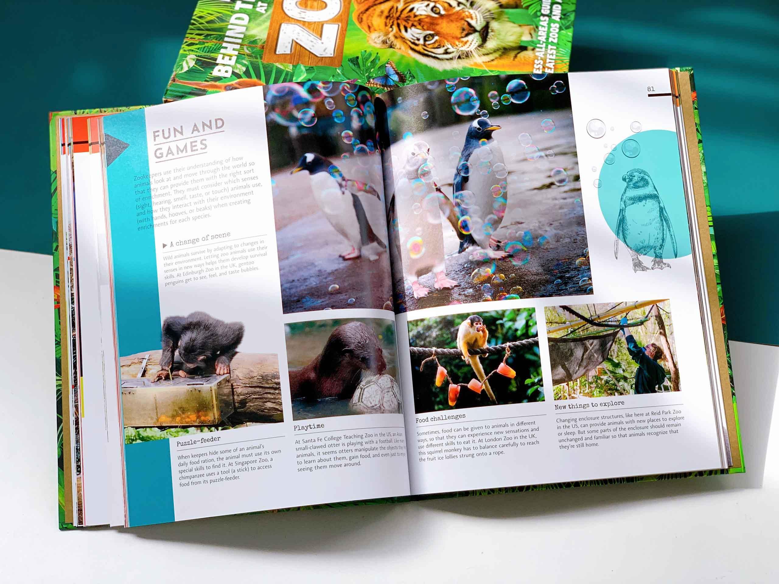 Behind the Scenes at the Zoo : Your Access-All-Areas Guide to the World's Greatest Zoos and Aquariums