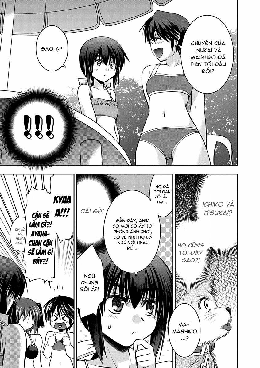 perowan! - hayaku shinasai! goshujin-sama chapter 9 13