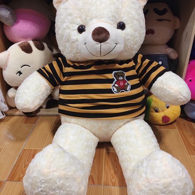 Gấu bông Teddy ICHIGO khổ vải 1m2 màu Kem