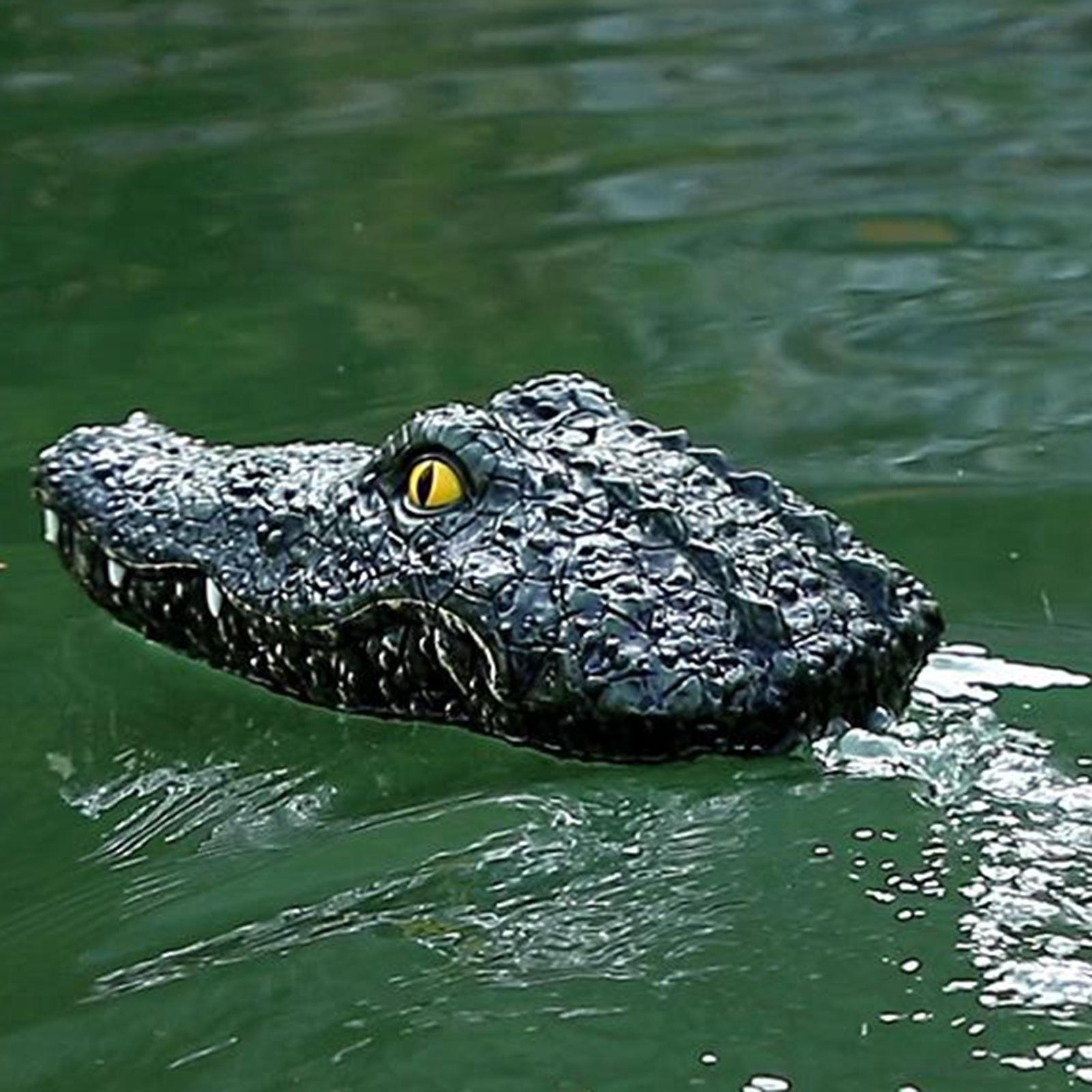 RC Boat Simulation Head Remote Control Boat Battery Supply