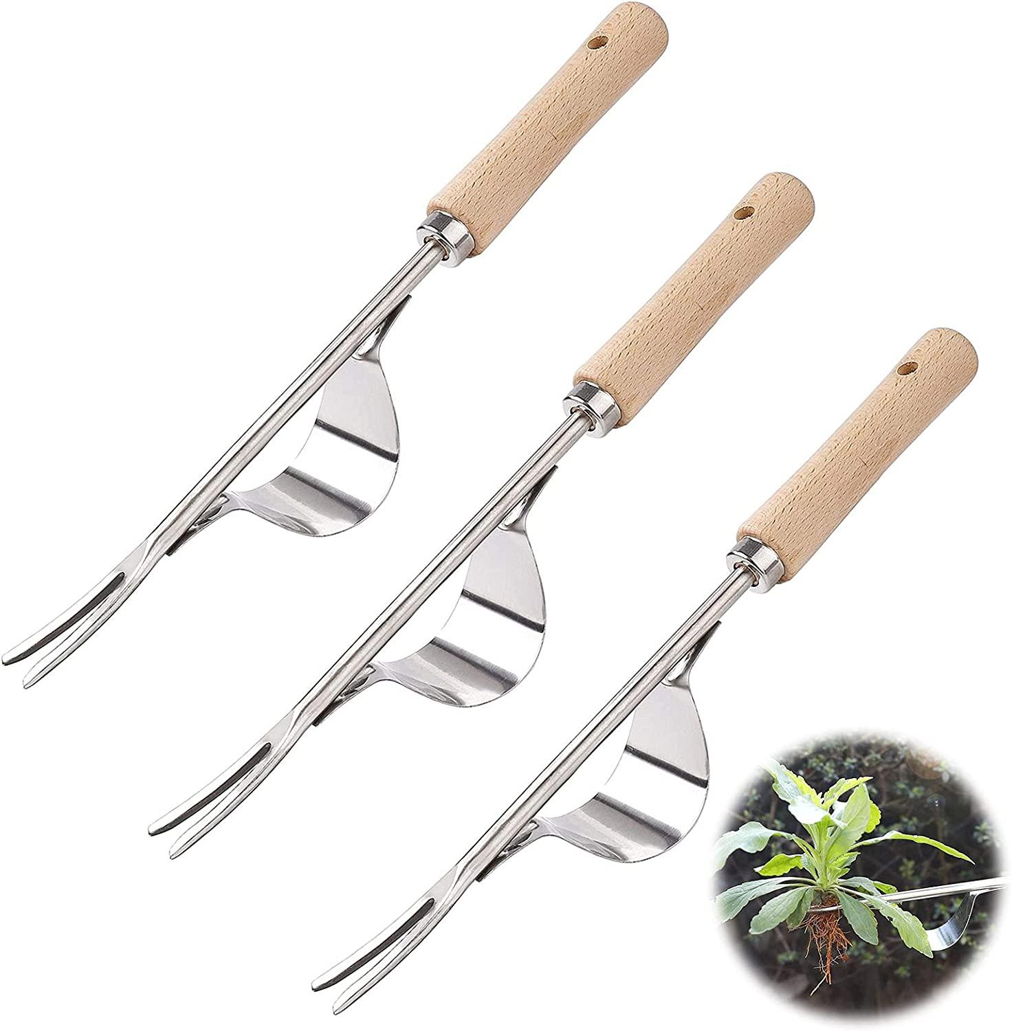 Dụng cụ làm cỏ bằng tay bằng thép không gỉ Dụng cụ làm cỏ bằng tay Máy làm cỏ bằng tay Dụng cụ làm cỏ trong vườn Dụng cụ làm cỏ có tay cầm để làm cỏ bồ công anh 3 miếng